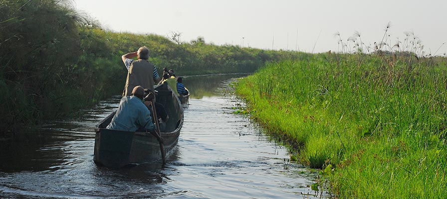 Mabamba Bay Birdwatching