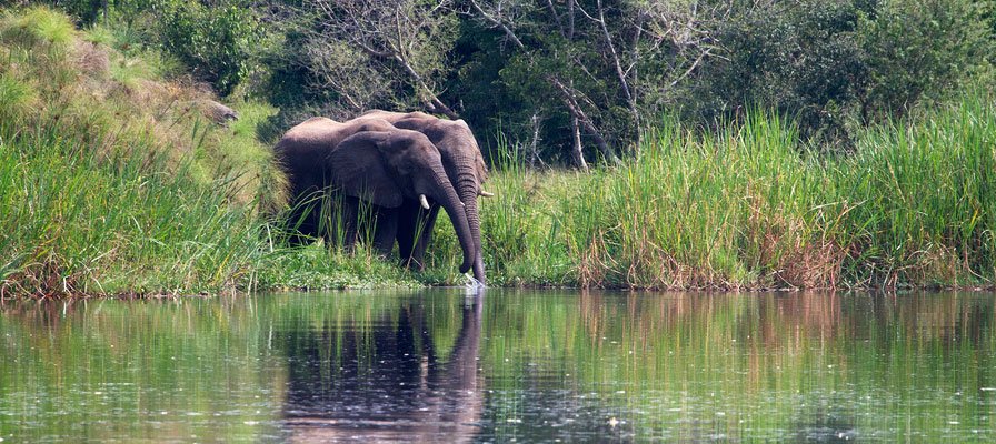 5 Days Muchison Falls National Park Safari
