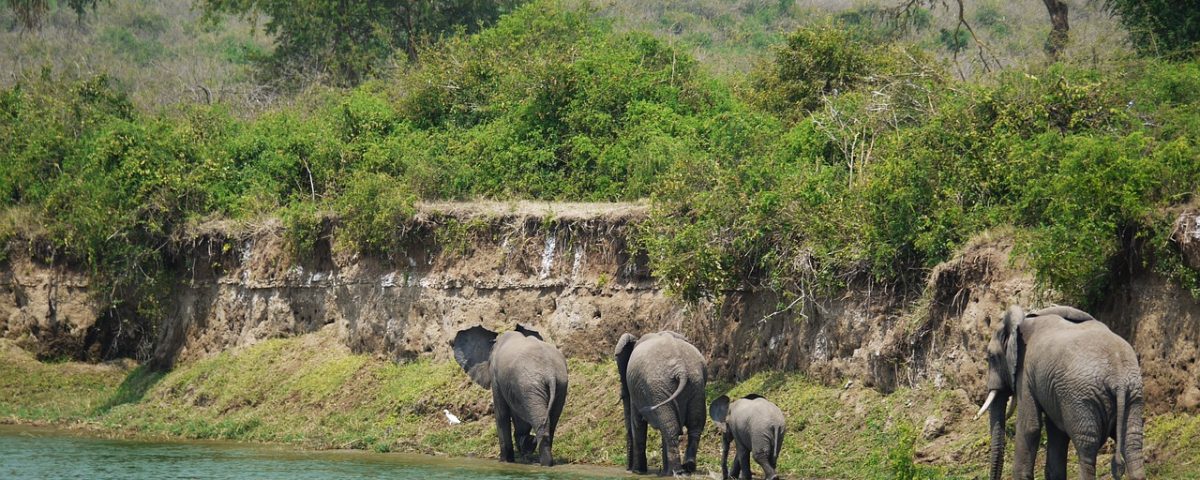 Top destinations in uganda