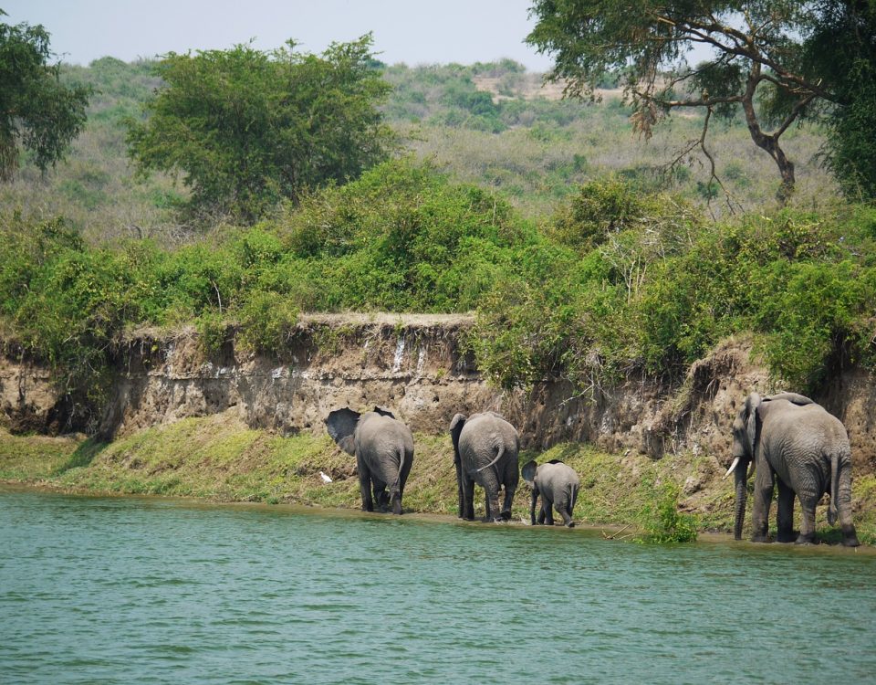 Top destinations in uganda