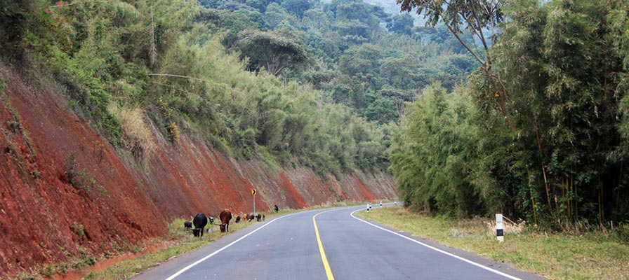 Uganda Gorillas & Wildlife Safari journey
