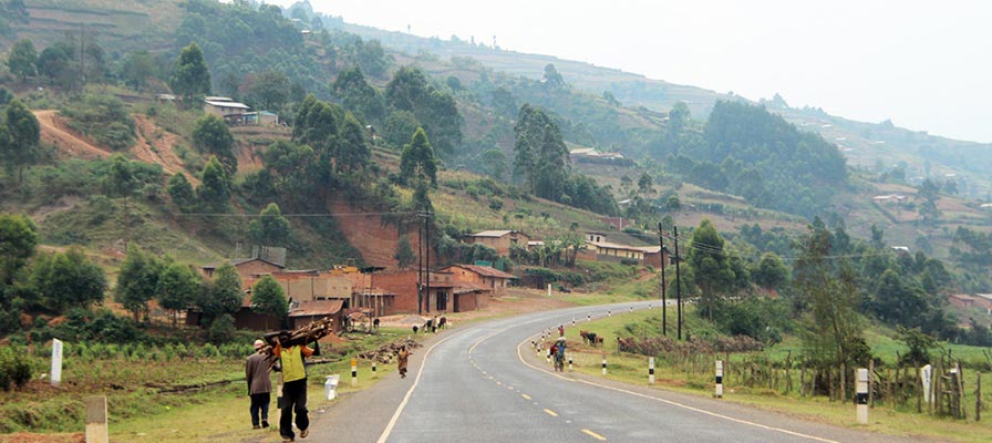 Travel to Bwindi Impenetrable National Park