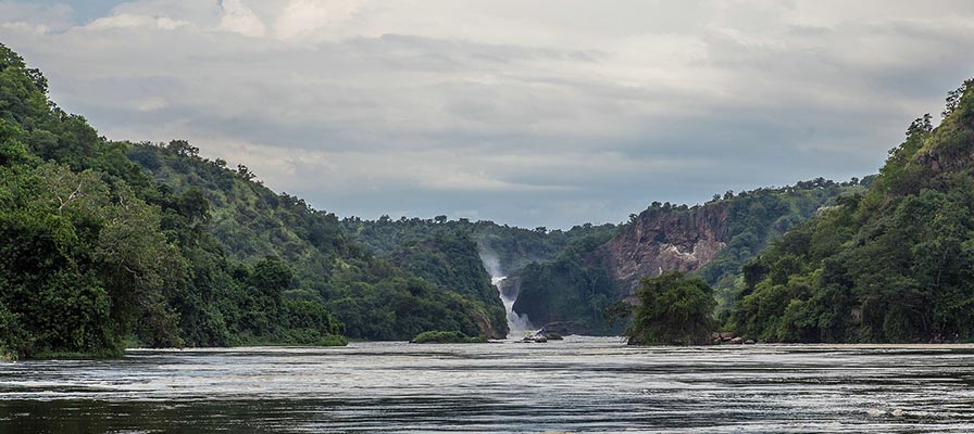 Thunderous Murchison Falls on the Best of Uganda Safari