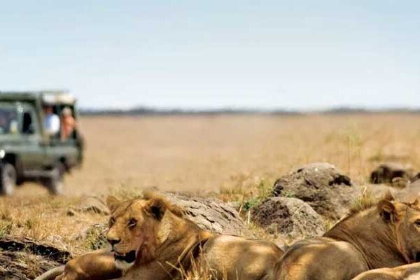 10-Day Uganda Wildlife & Chimps Safari
