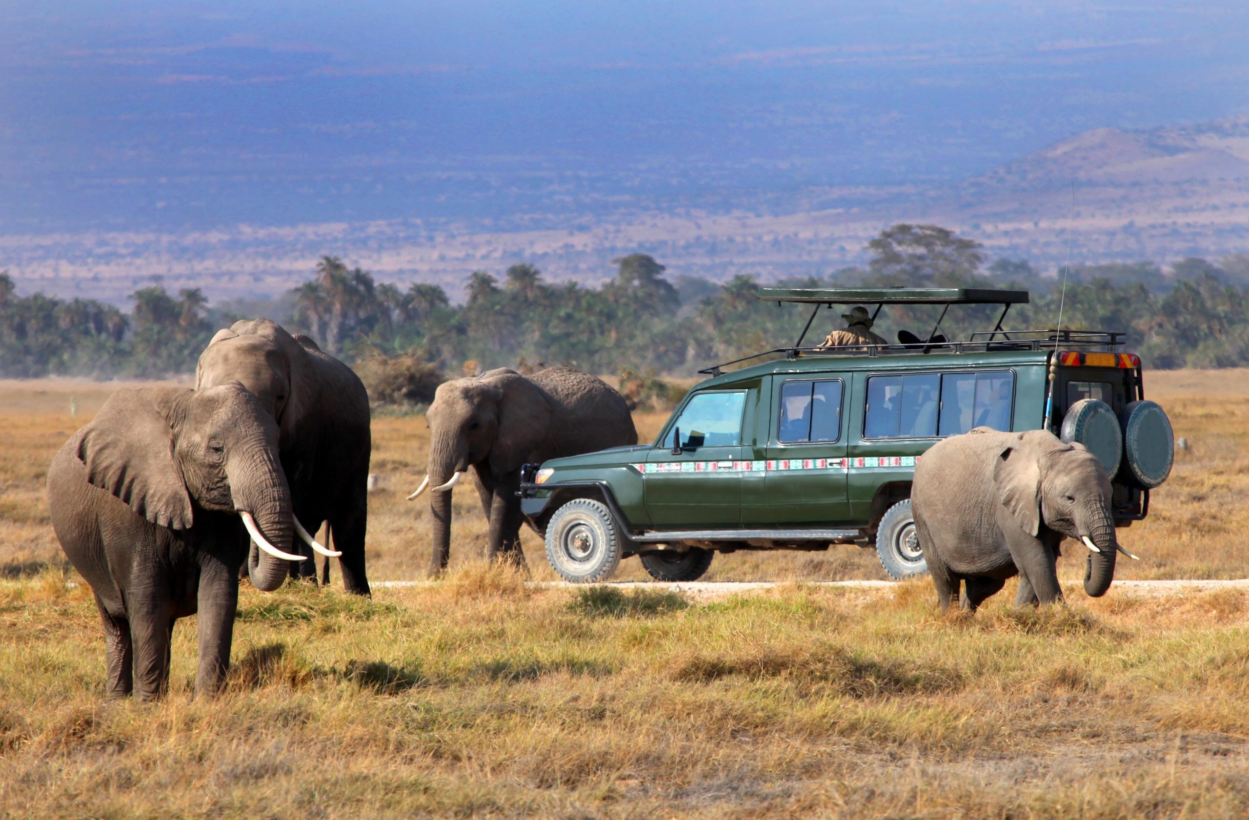 Ruaha National Park