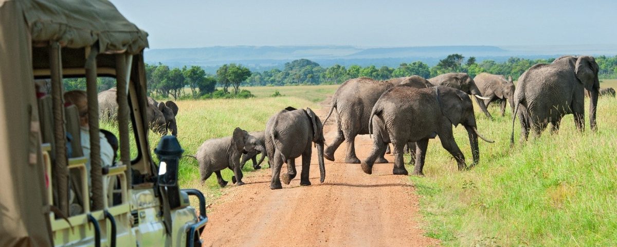 Road Trips Rwanda