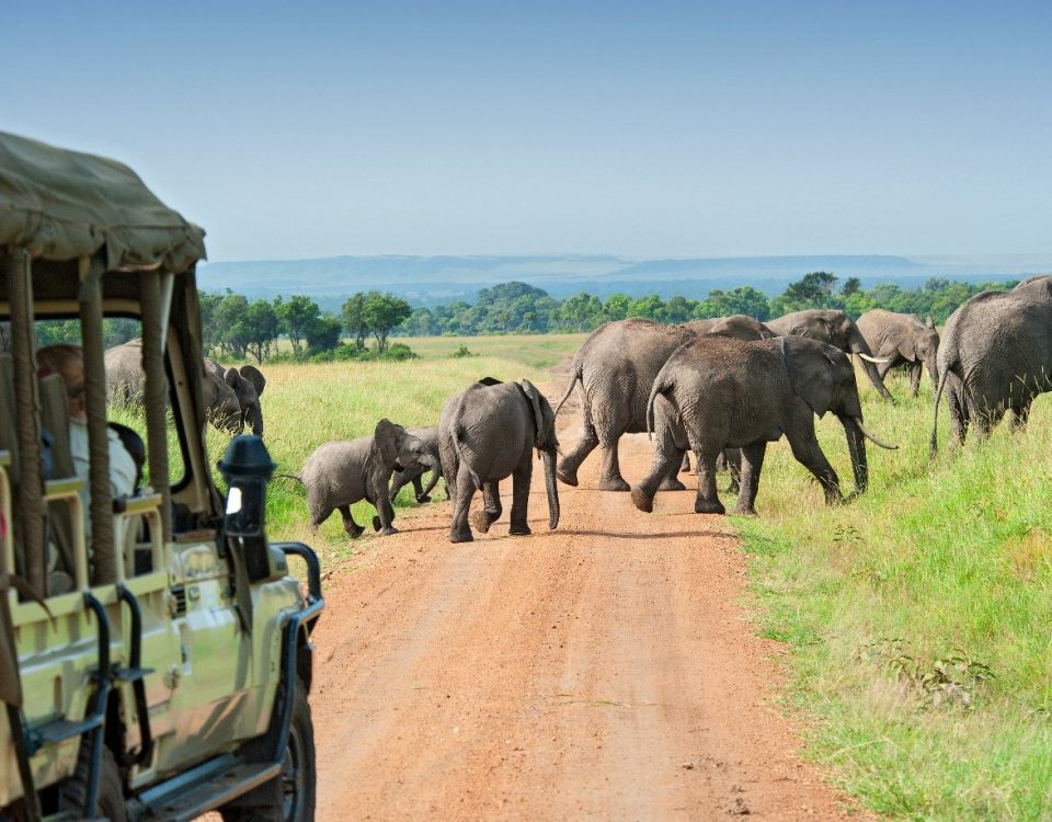 Road Trips Rwanda