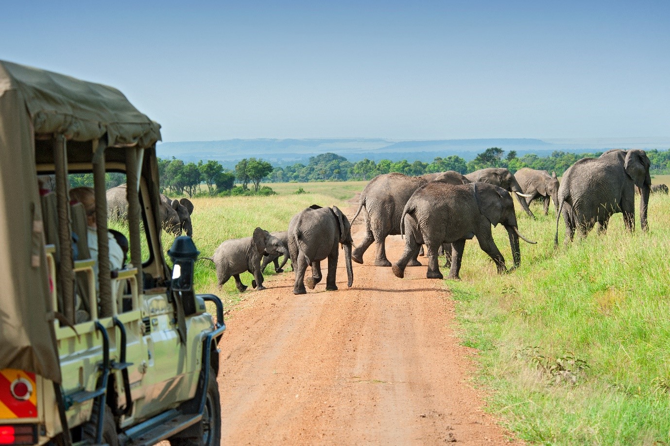 10 Days Tanzania, Rwanda, and Uganda Safari