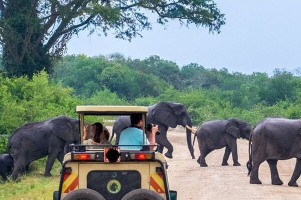 uganda day tour