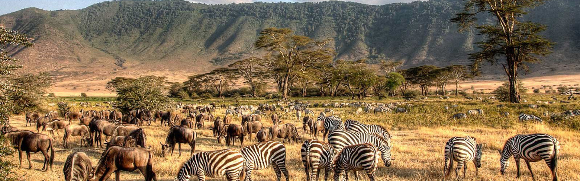 Ngorongoro National Park