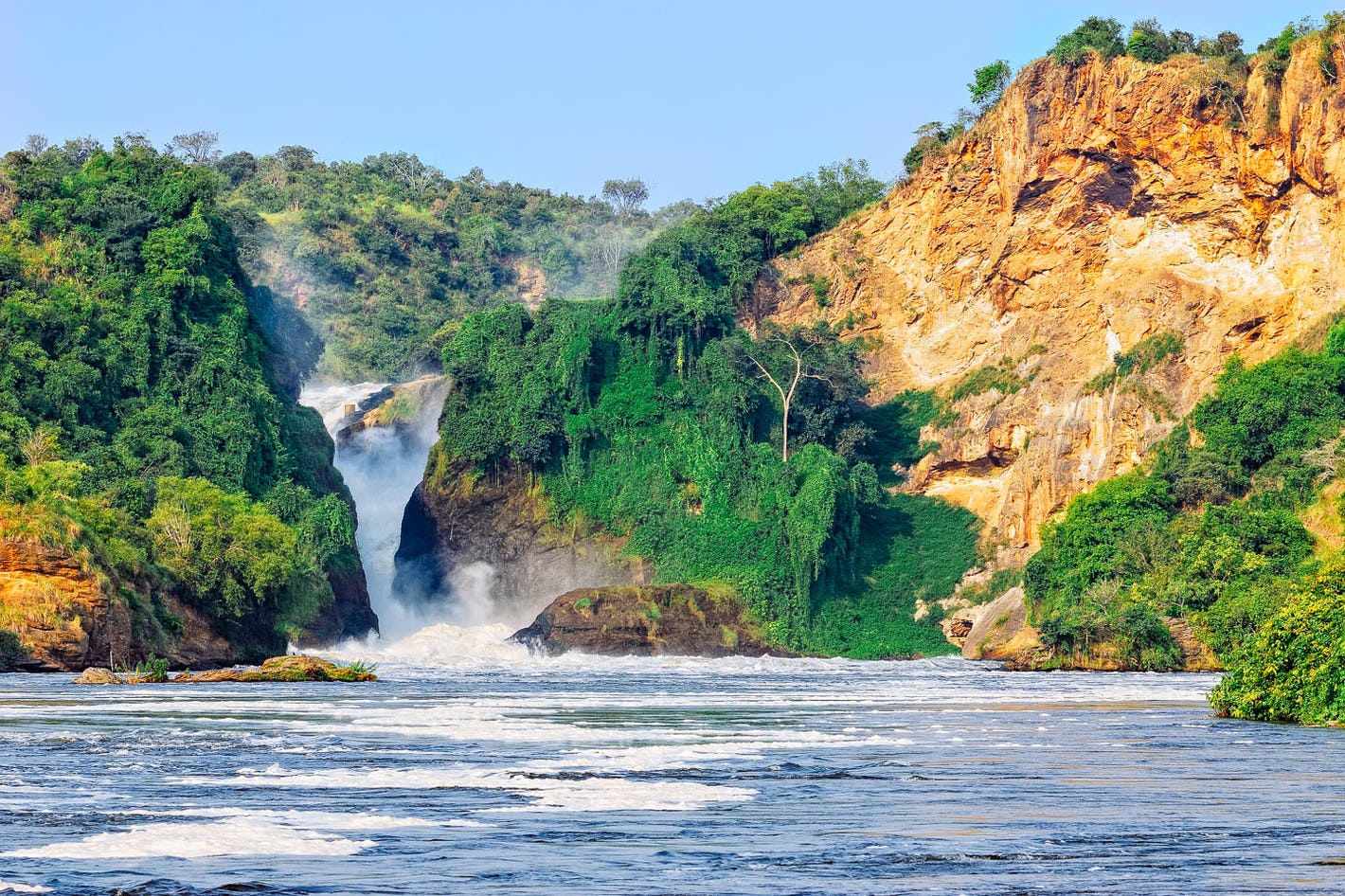Queen Elizabeth or Murchison Falls
