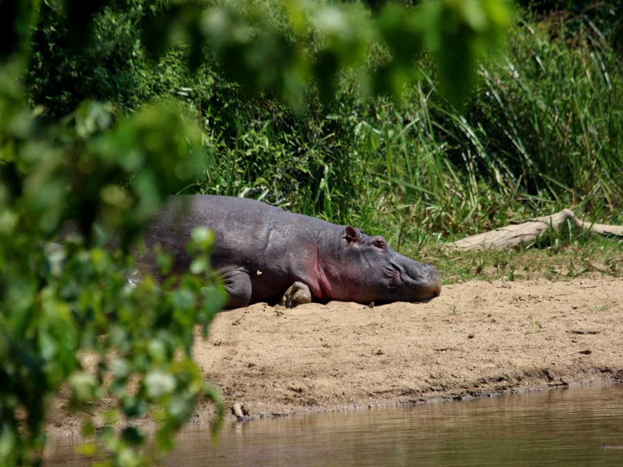 N’Sele Nature Reserve