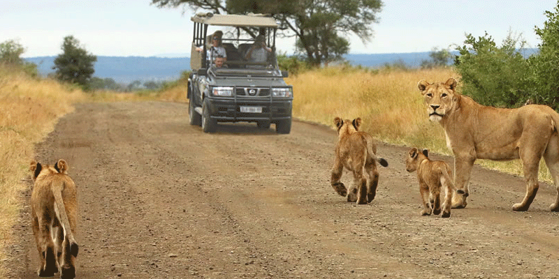 Road Trips Kenya
