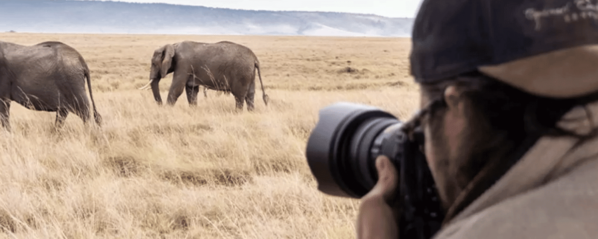 Walking Safaris and Birdwatching in Serengeti