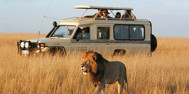 Ngorongoro Crater