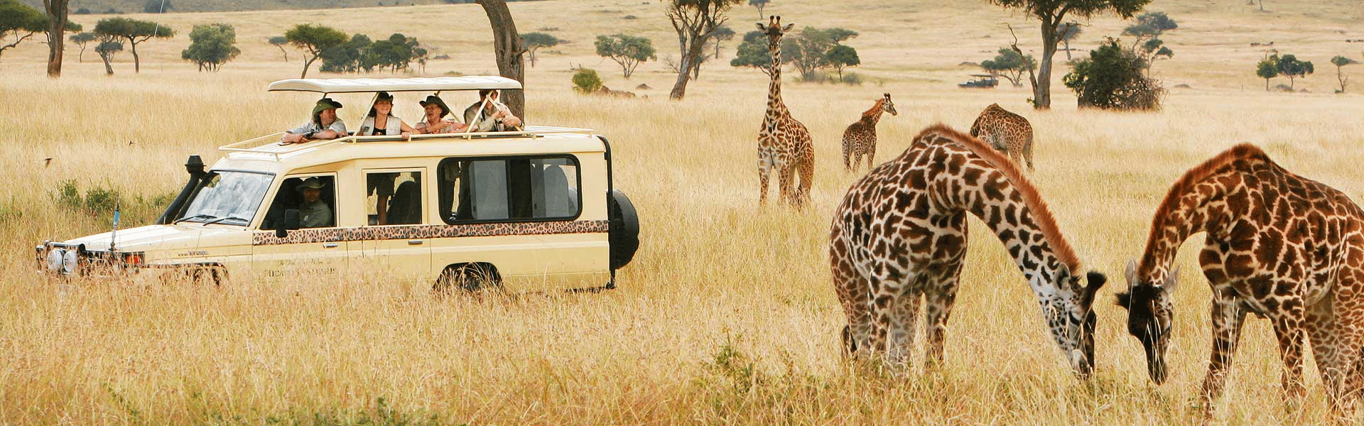 6-Day Luxury Tanzania Safari