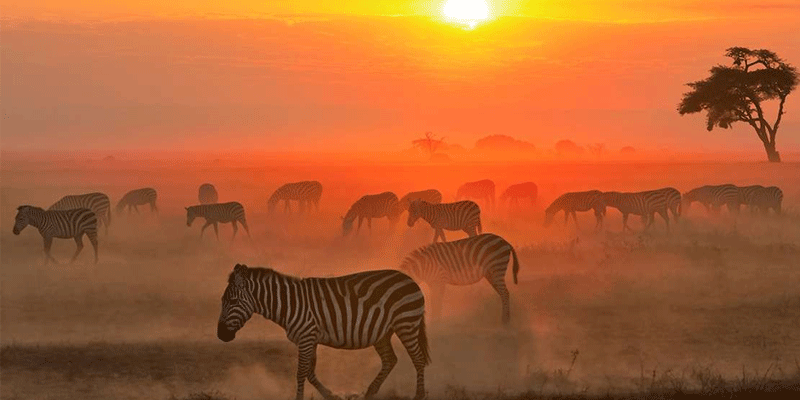 4 Days Kenya Private Luxury Safari