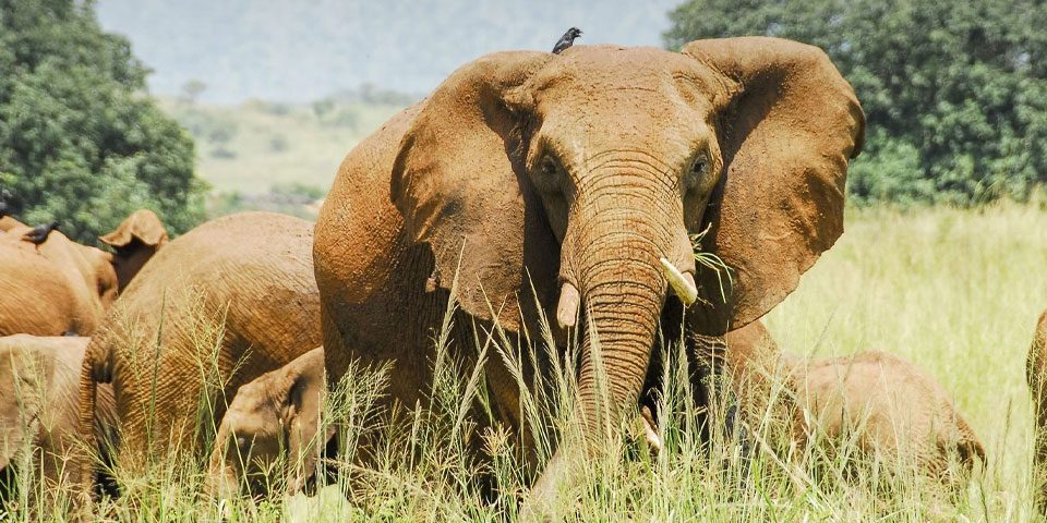 Lake Manyara National Park