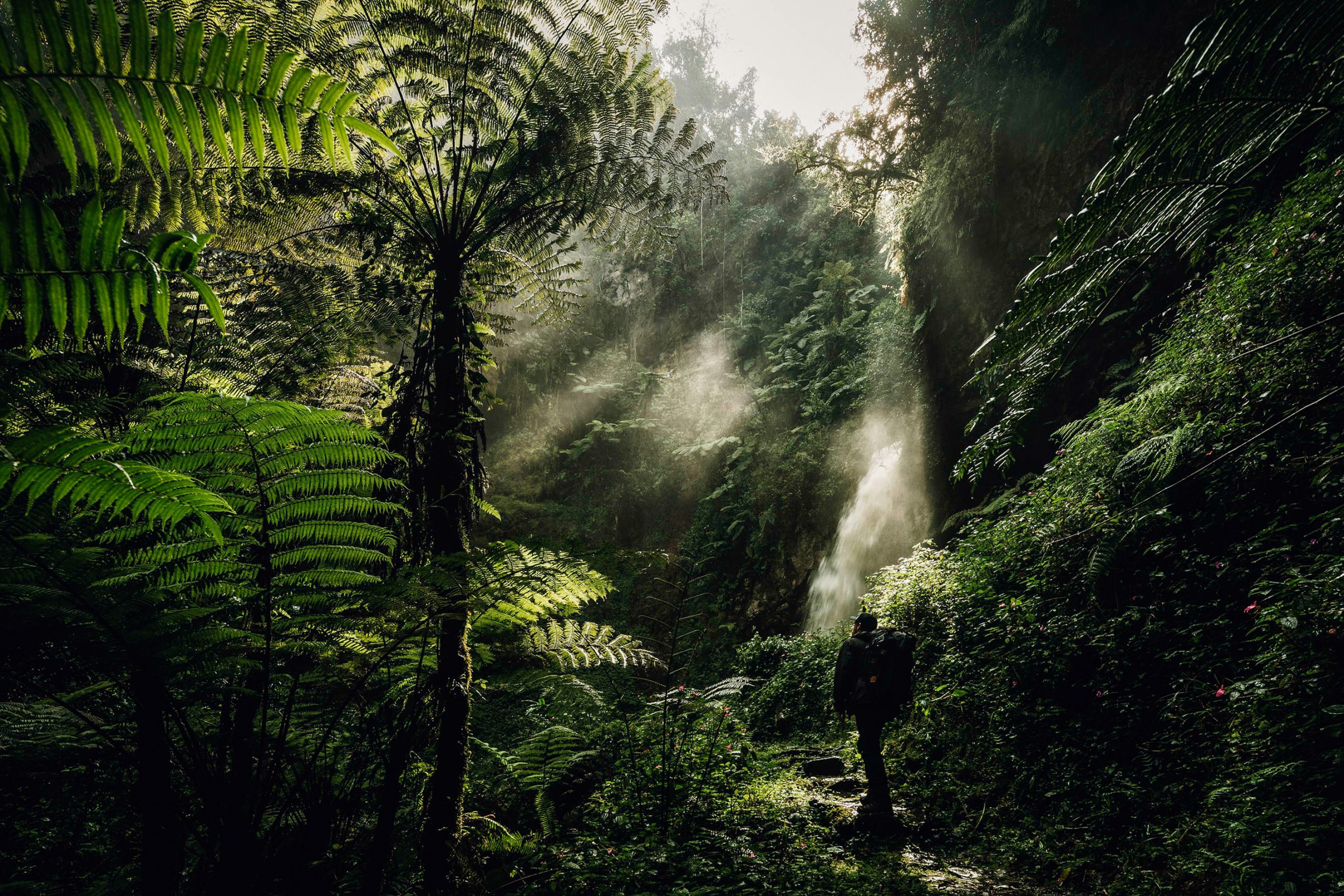 Kibale Forest National Park