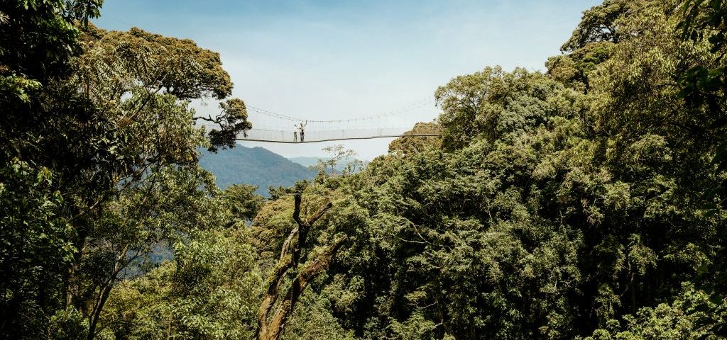 Rwanda’s Congo Nile Trail
