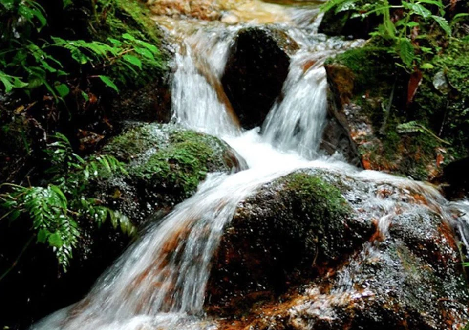 Bizenga River