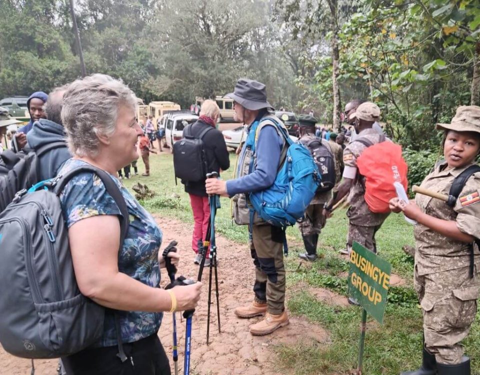 Are Walking Safaris in Uganda Safe?