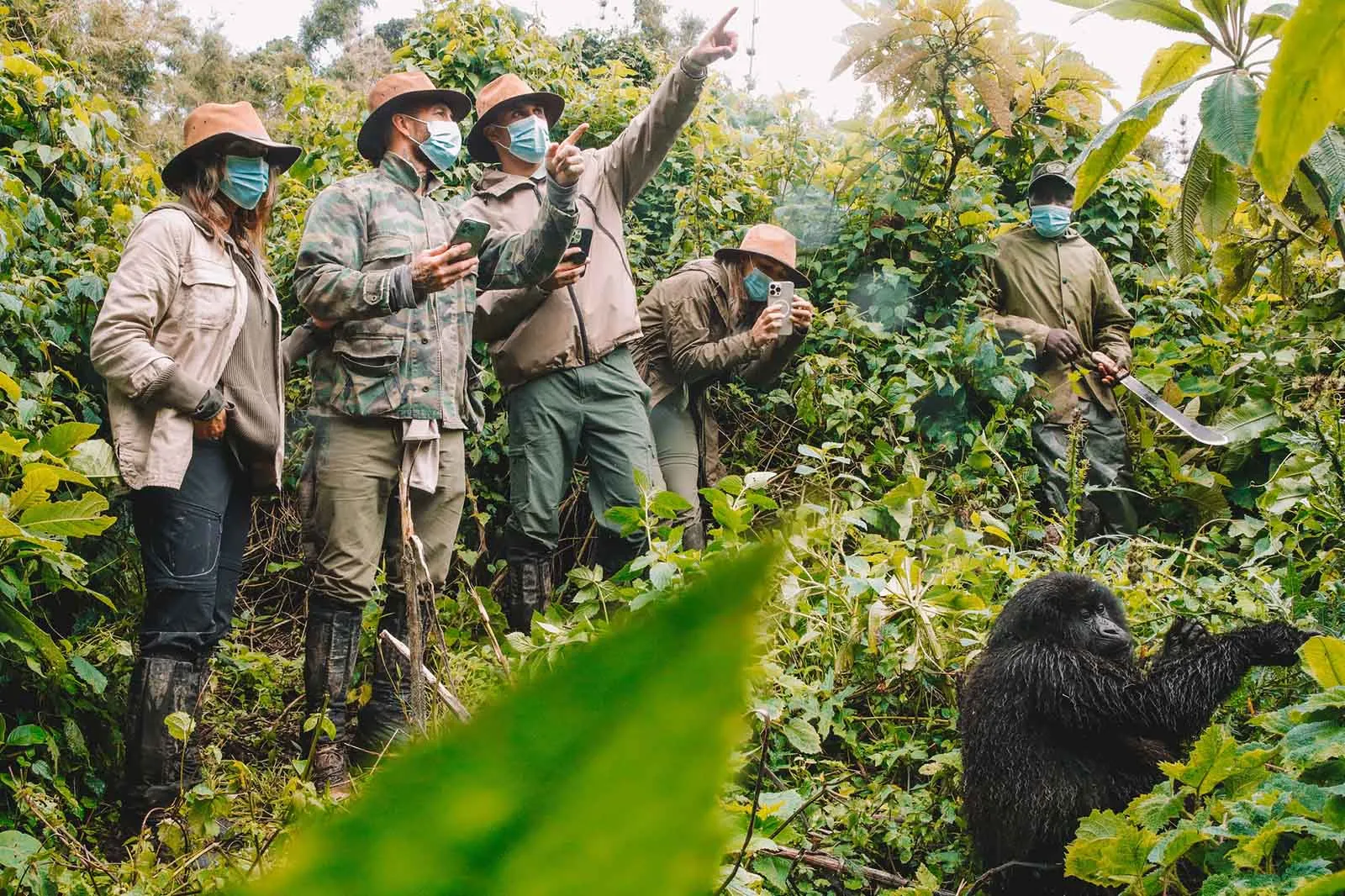 Rwanda Uganda Primates Safari