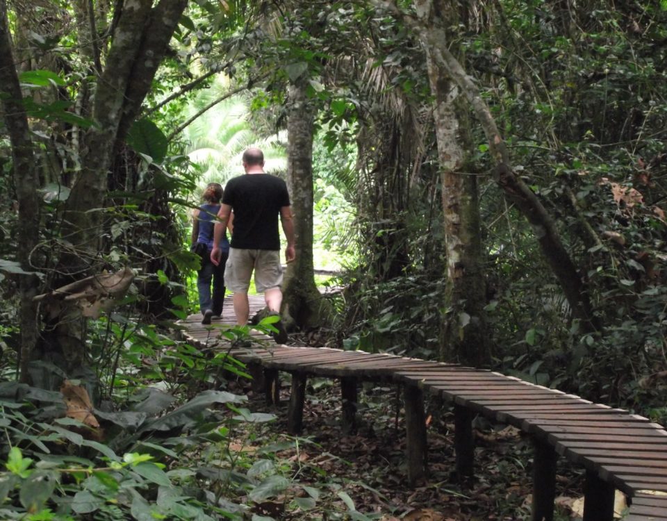 Planning the Perfect Short Safari Holiday from the U.S.