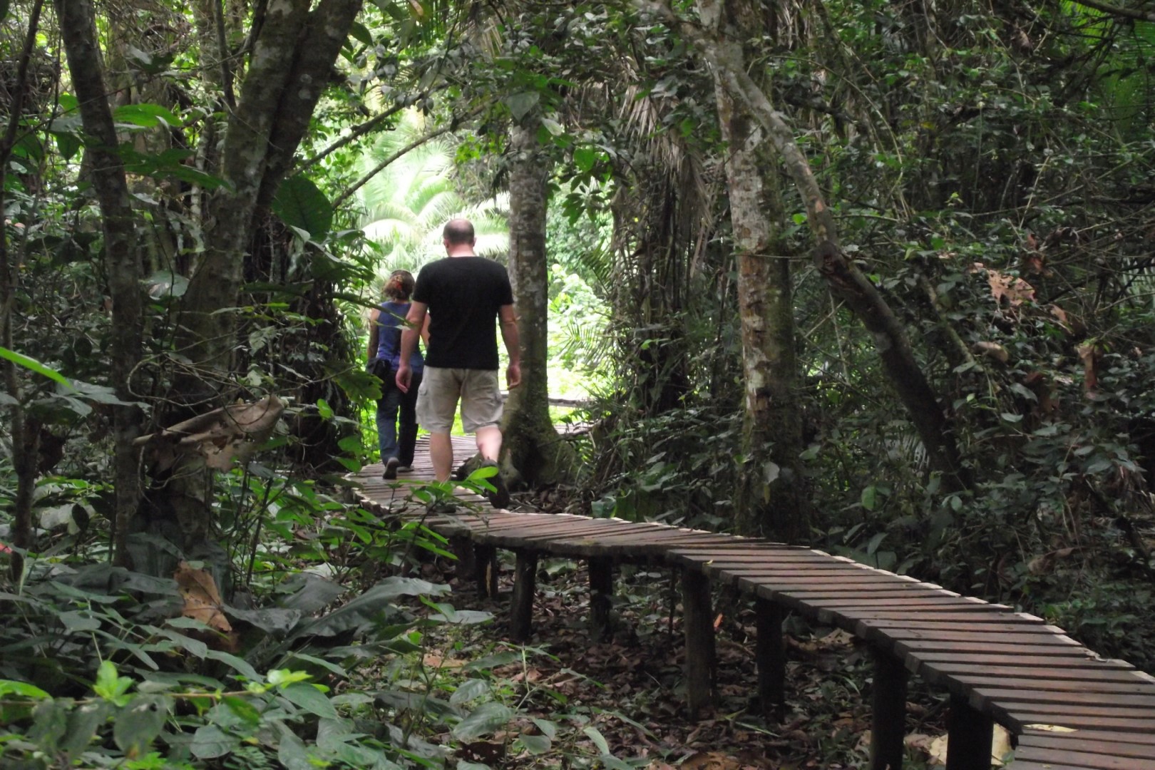 Planning the Perfect Short Safari Holiday from the U.S.