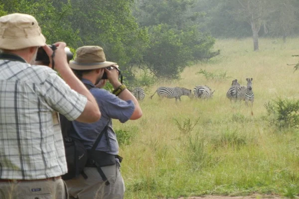 Are Walking Safaris in Uganda Safe?