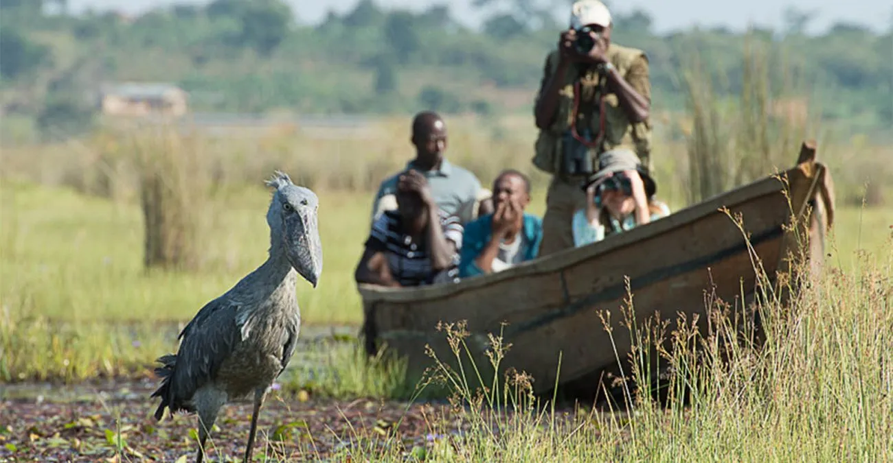Uganda Experiential Safaris