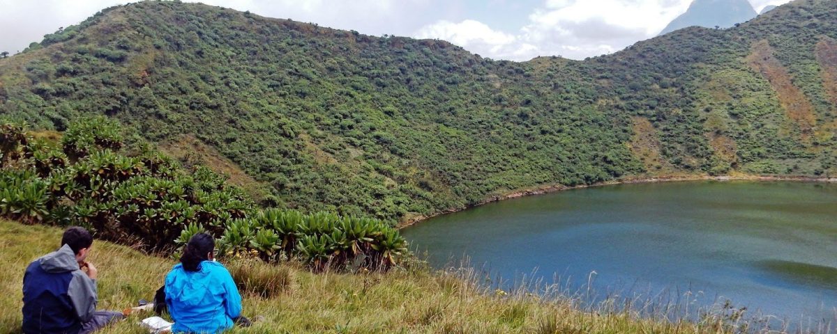 Mount Bisoke Hiking Safari