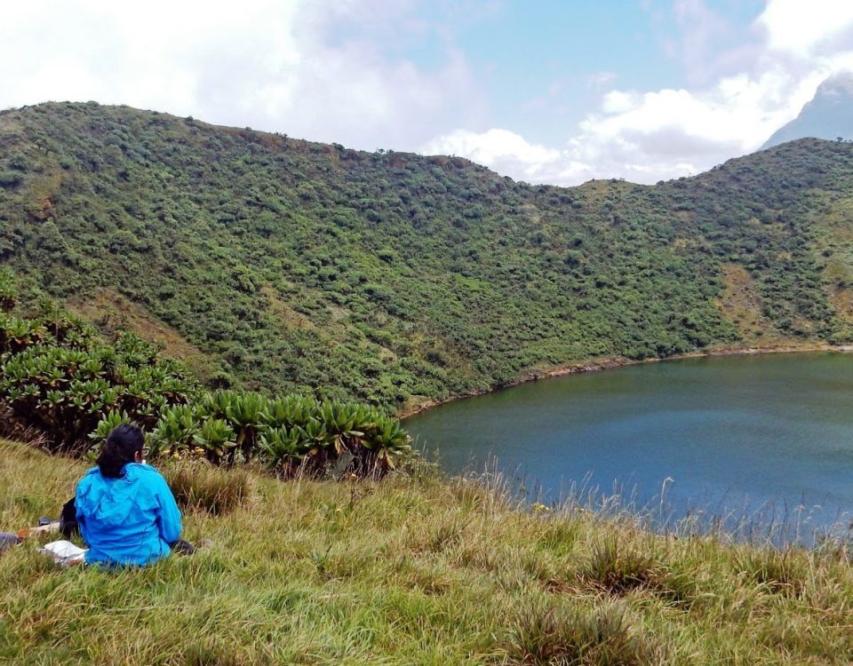 Mount Bisoke Hiking Safari