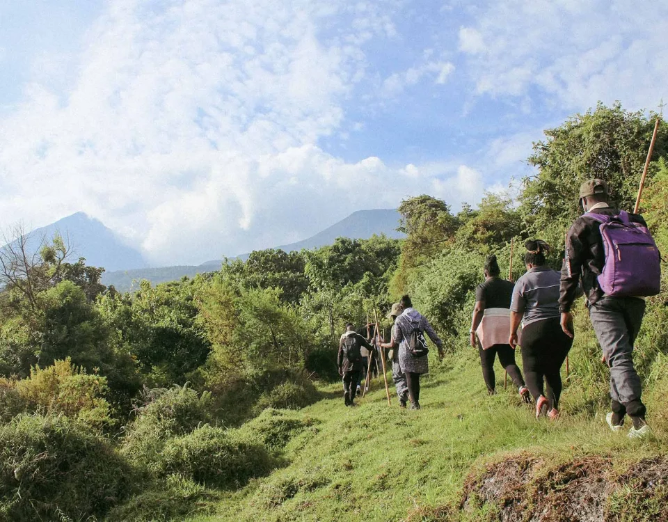 What Is a Walking Safari in Uganda?