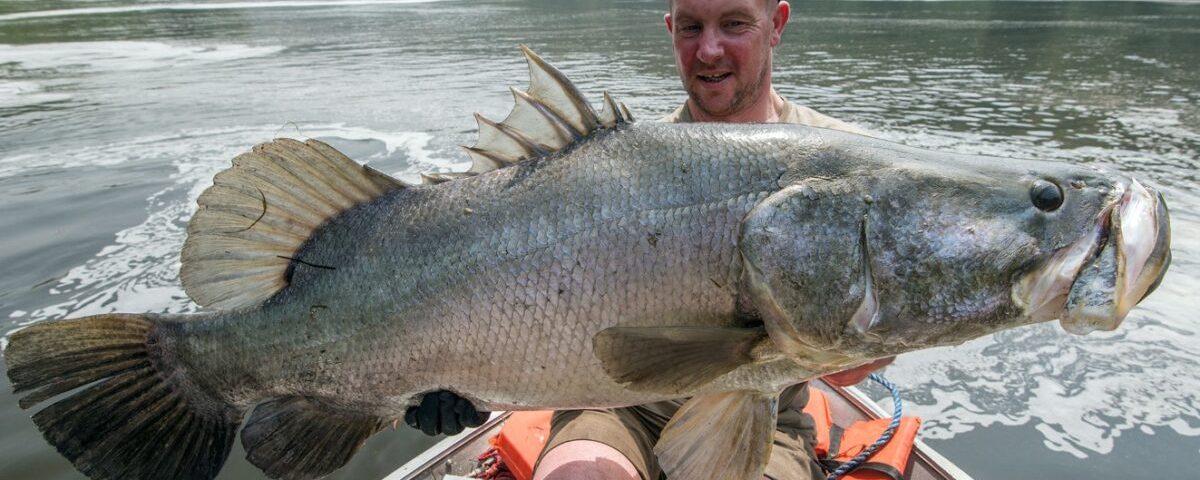 Lake Victoria in Uganda Tours
