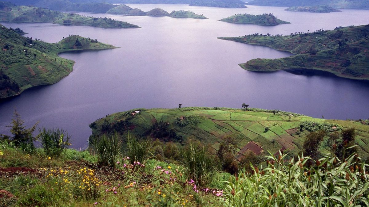 5 Days Queen Elizabeth & Lake Bunyonyi Birding Safari