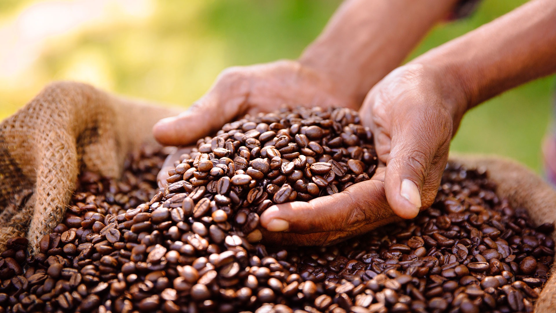 Uganda Coffee Tours