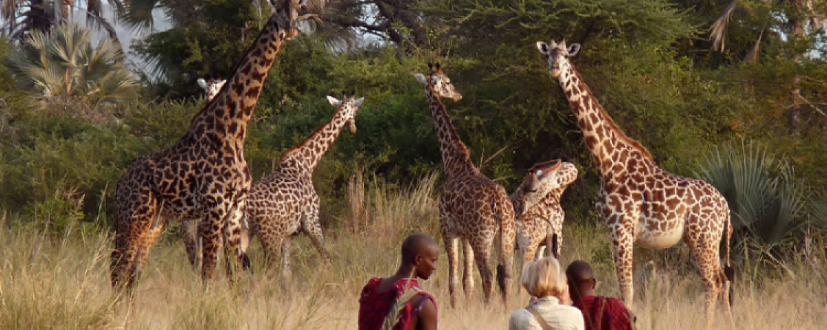Maasai Mara National Reserve