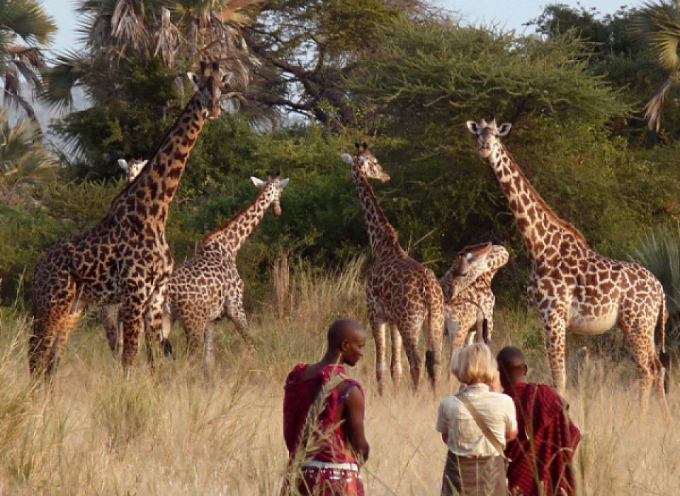 Maasai Mara National Reserve