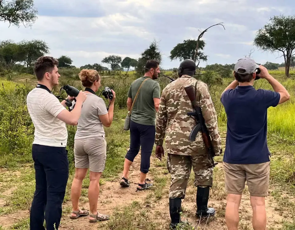 Walking Safaris and Birdwatching in Serengeti