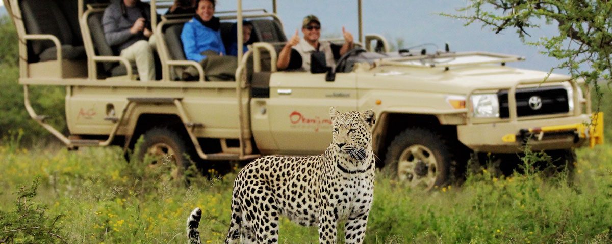 What Is a Game Drive Safari in Uganda?