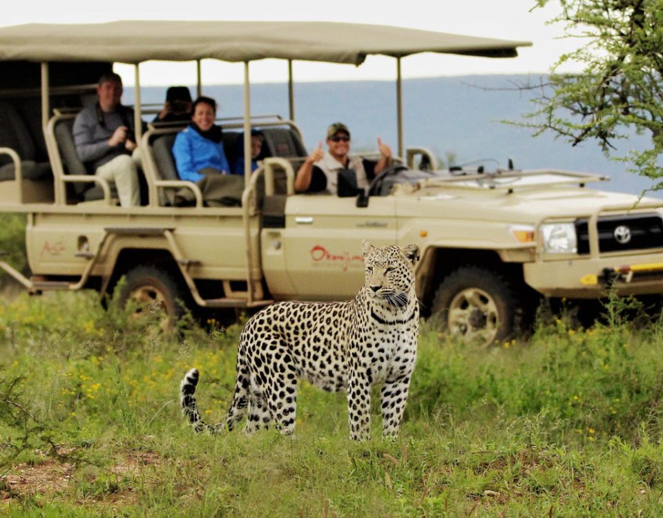 What Is a Game Drive Safari in Uganda?