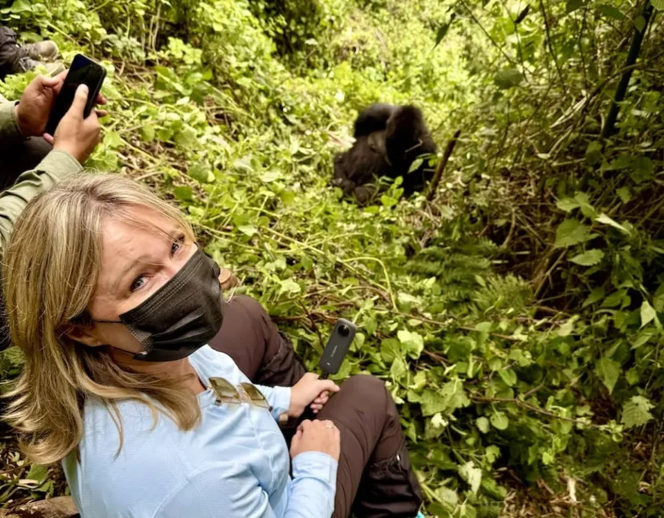 Gorillas & Chimpanzee Trekking Safari from London