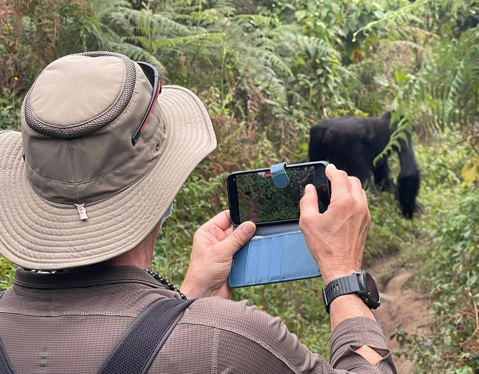 What is Bwindi Impenetrable Famous For?