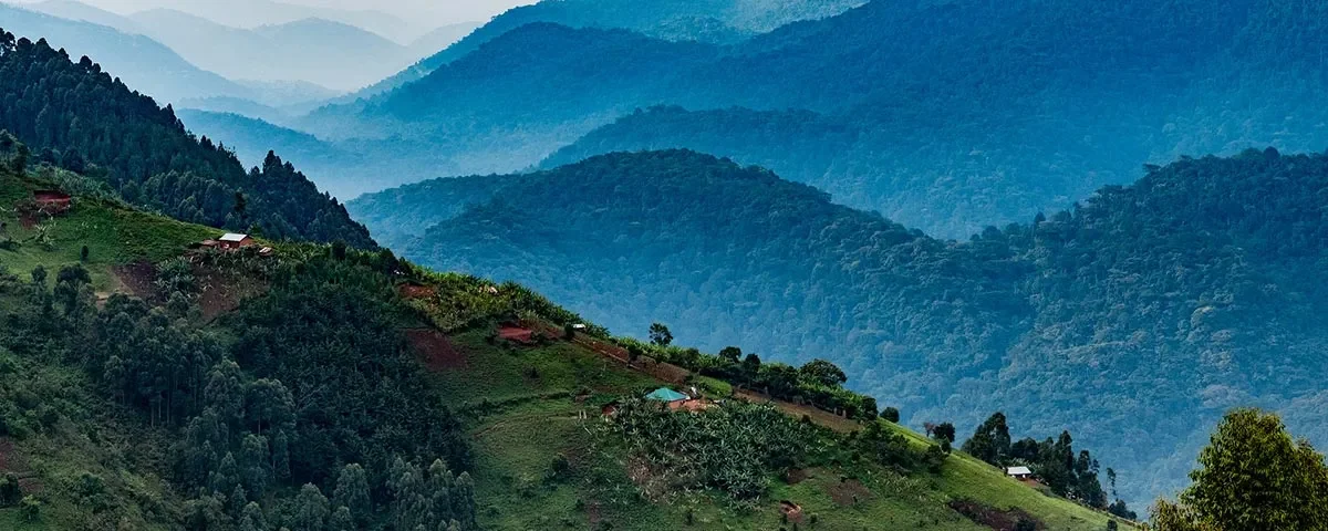 Is There Malaria in Bwindi