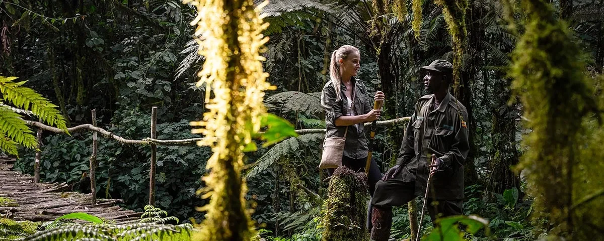 How Difficult is Gorilla Trekking in Uganda?