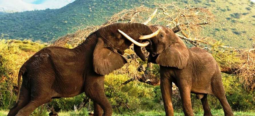 Serengeti National Park